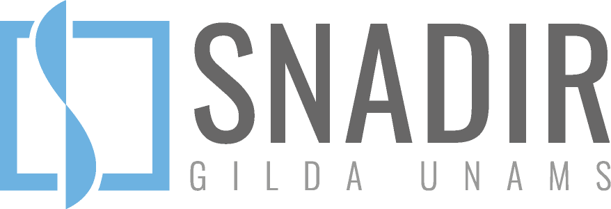 Logo Snadir Snadir
